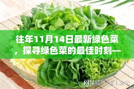 探寻绿色菜的最佳时刻，以往年11月14日为例的蔬菜盛宴