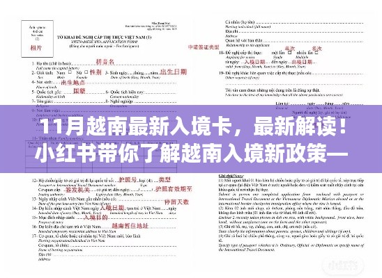 小红书解读，最新越南入境卡详解及新政策解析