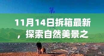 11月14日最新拆箱体验，自然美景之旅，寻找内心的宁静与喜悦