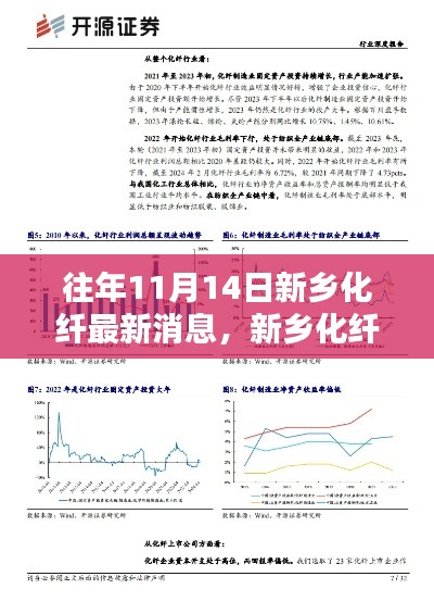 新乡化纤最新动态聚焦观点分析，历年11月14日深度解读