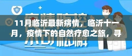 临沂十一月疫情下的自然疗愈之旅，寻找内心的宁静港湾