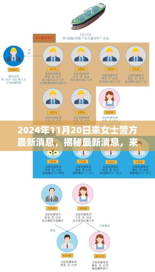 揭秘来女士案件最新进展与警方深度调查，最新消息披露于2024年11月20日