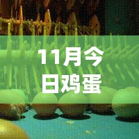 11月鸡蛋价格最新行情解析，多方观点交织的思考