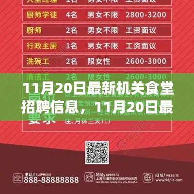 最新机关食堂招聘信息详解，11月20日发布的全解析报告