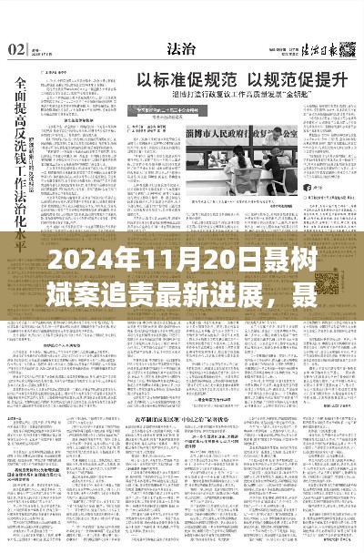 聂树斌案追责最新进展深度解析，2024年11月20日追责进展及评测