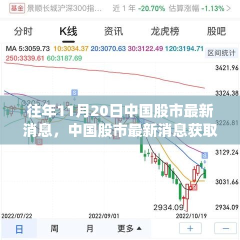 往年11月20日中国股市动态解析，获取最新消息指南及初学者进阶技巧