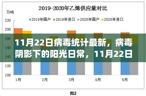 11月22日病毒最新统计，阳光日常中的温馨小故事