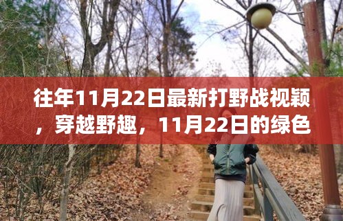 往年11月22日最新打野战视颖，穿越野趣，11月22日的绿色冒险之旅，寻找内心的宁静与平和