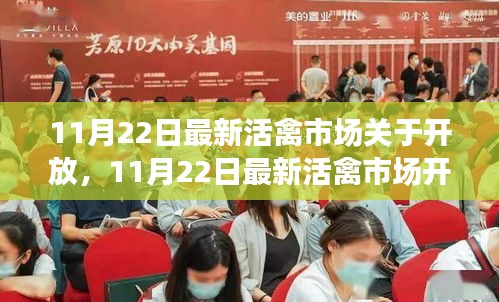 11月22日活禽市场开放动态，复苏与机遇的挑战