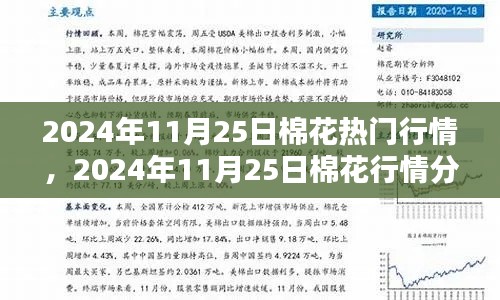 棉花行情深度解析，从入门到精通——2024年11月25日棉花行情指南