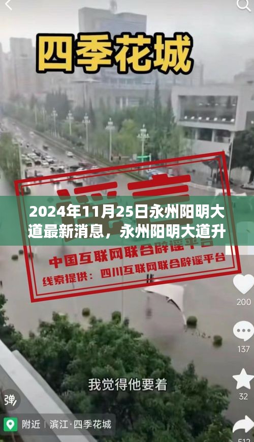 永州阳明大道升级改造最新进展深度评测，最新消息与评测报告（2024年11月25日）