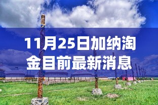 加纳淘金最新动态，探寻秘境的心灵之旅