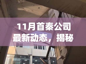 揭秘首秦公司十一月动态，背后故事与小巷特色小店独家报道