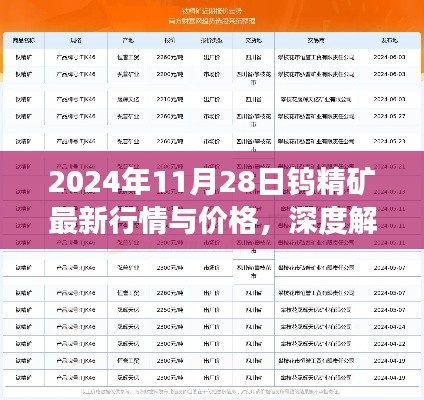 深度解析，2024年11月28日钨精矿最新行情与价格展望