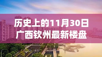 广西钦州楼盘价格变迁揭秘，历史价格回顾与最新楼盘查询指南（初学者至进阶用户必备）