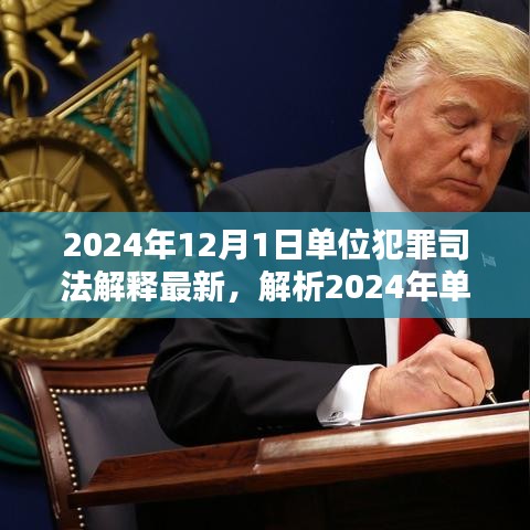 深度解析，2024年单位犯罪司法解释最新动态及三大要点探讨