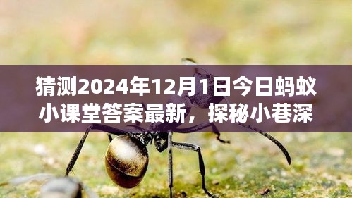 探秘蚂蚁小课堂答案背后的神秘小店，2024年12月1日小巷深处的独特风味揭晓