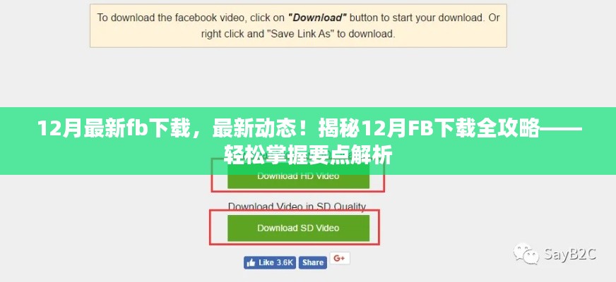 揭秘，最新动态下的FB下载全攻略，轻松掌握要点解析