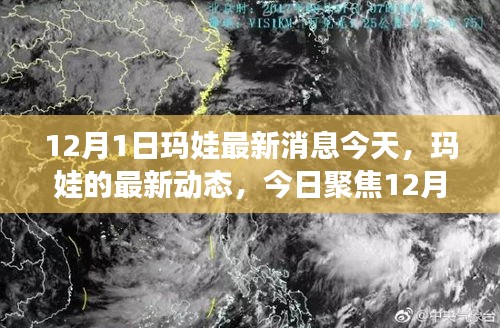 聚焦今日，玛娃最新动态 12月1日消息