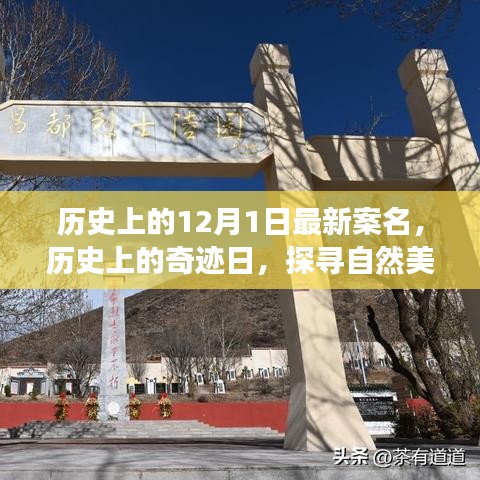 探寻奇迹日，历史上的自然美景之旅与宁静革命之路的探寻