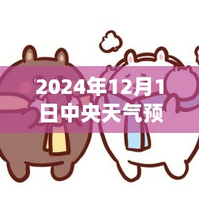 中央天气预报下的暖心日常，友情与家的温暖在2024年12月1日的天气预报中显现