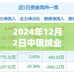 中银绒业最新动态解析，产品特性、用户体验与目标用户群体深度分析（2024年12月）