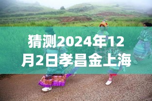 孝昌金上海2024年12月2日探寻自然秘境，旅行热潮预测，奇妙之旅即将启程