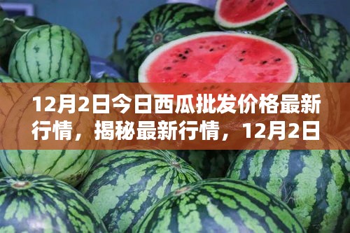 揭秘最新行情，深度解析12月2日西瓜批发价格走势及最新行情