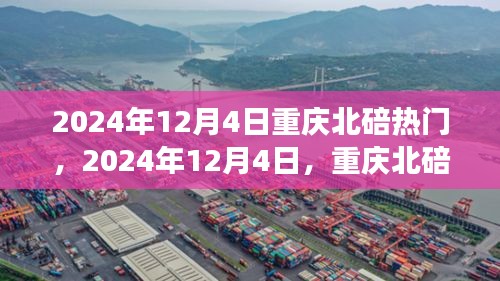 2024年12月4日重庆北碚之旅，探寻自然美景，重拾心灵宁静