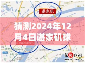 谌家矶球场最新动态展望，未来赛事猜想（2024年12月4日）