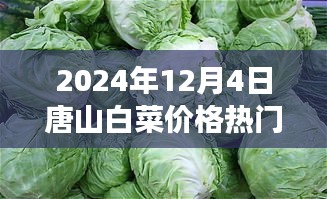 橘虞初梦 第5页