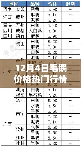 12月4日毛鹅价格行情深度解析