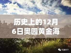 揭秘黄金海岸，历史上的12月6日最新动态与发展历程揭秘