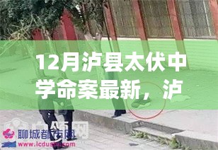 泸县太伏中学命案最新科技进展，智能安防系统重塑校园安全新篇章