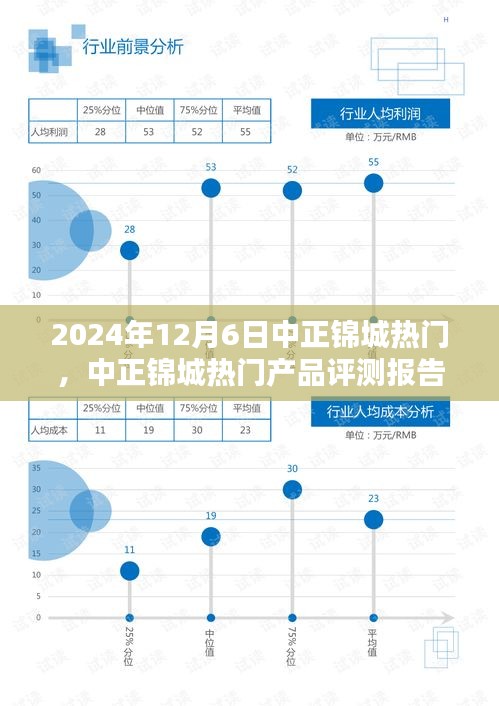 2024年12月6日中正锦城热门，中正锦城热门产品评测报告——深度解析与用户体验分享（XXXX年XX月XX日版）