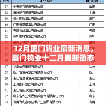 厦门钨业十二月最新动态概览，最新消息概览