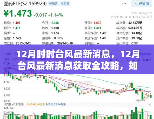 12月台风最新消息全攻略，如何跟进动态，获取实时信息