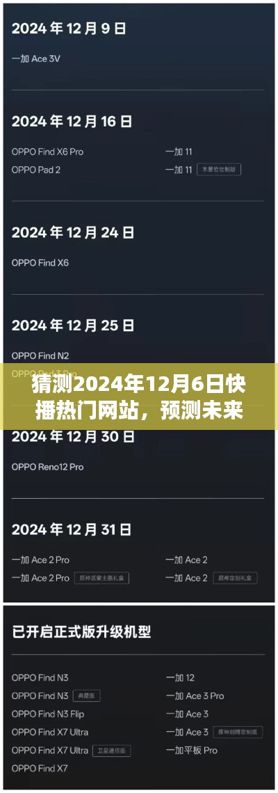 2024年12月6日快播热门网站预测，深度体验与评测报告