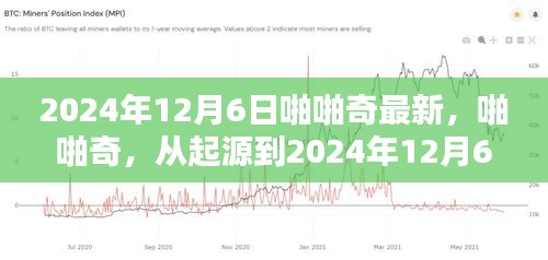 啪啪奇，从诞生到辉煌历程的演变至2024年12月6日