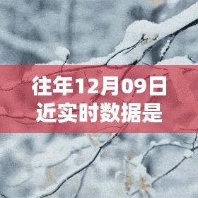 往年12月9日数据的魔法，温馨回忆中的实时时光