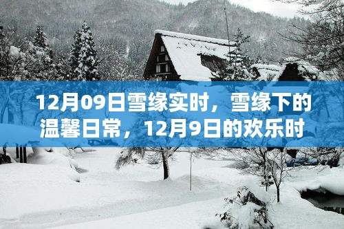 雪缘下的温馨日常，12月9日的欢乐时光