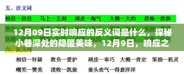 探秘实时响应反义词与小巷深处的隐匿美味，12月9日的探索之旅