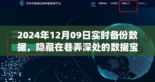 探索巷弄深处的数据宝藏，实时备份数据的奇幻之旅（2024年12月09日）