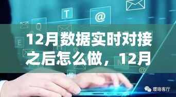 12月数据实时对接后的策略指南，多方考量与行动步骤