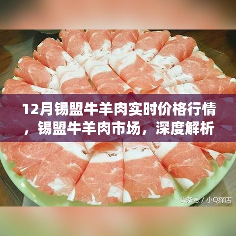 锡盟牛羊肉市场深度解析，十二月实时价格行情报告