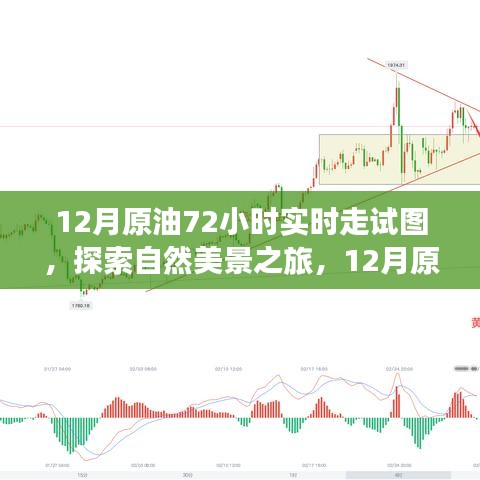 揭秘原油走势图背后的故事，探寻自然美景之旅的实时追踪报告