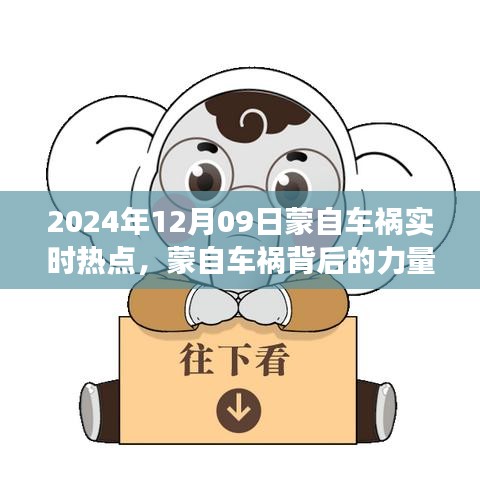 蒙自车祸背后的力量与人生自信成就之路，实时热点解析