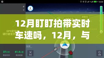 12月盯盯拍实时车速探寻美景之旅，与自然共舞，内心宁静之旅