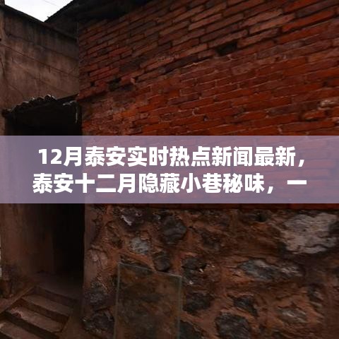 泰安十二月热点新闻与隐藏小巷的特色美食探索，一家特色小店的惊喜之旅