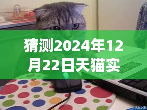 探索未来天猫之旅，揭秘天猫实时大厅猜想与内心平静的秘境